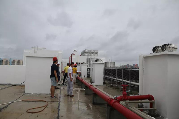 国产精品人人妻人人爽9区