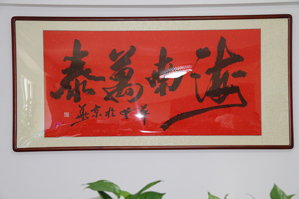 国产精品人人妻人人爽9区