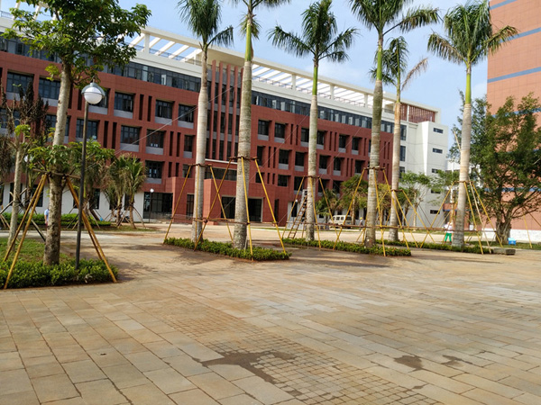 国产精品人人妻人人爽9区