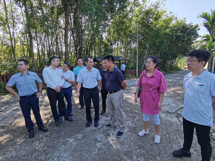 国产精品人人妻人人爽9区