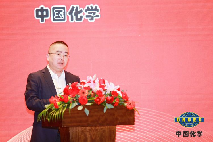 国产精品人人妻人人爽9区