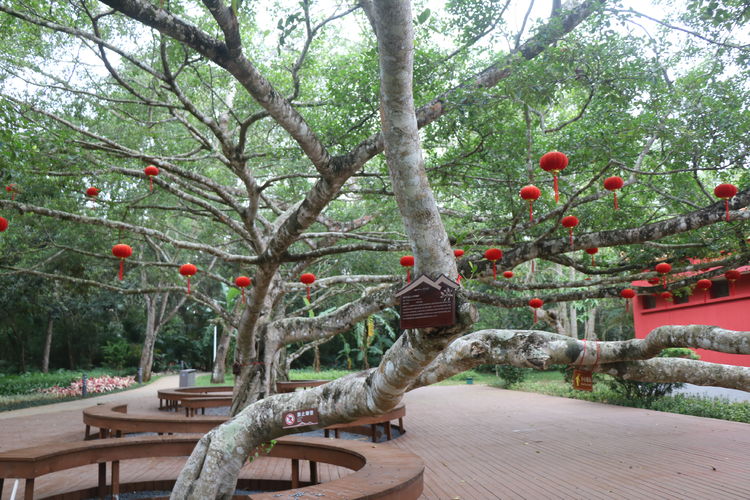 国产精品人人妻人人爽9区