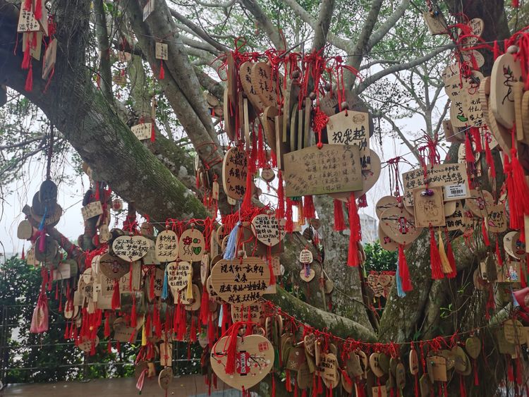 国产精品人人妻人人爽9区