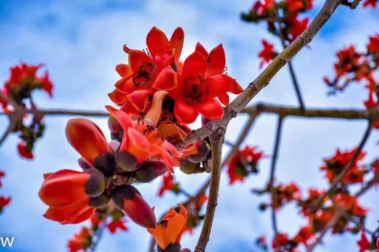 国产精品人人妻人人爽9区