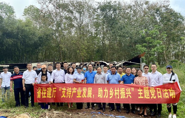 国产精品人人妻人人爽9区