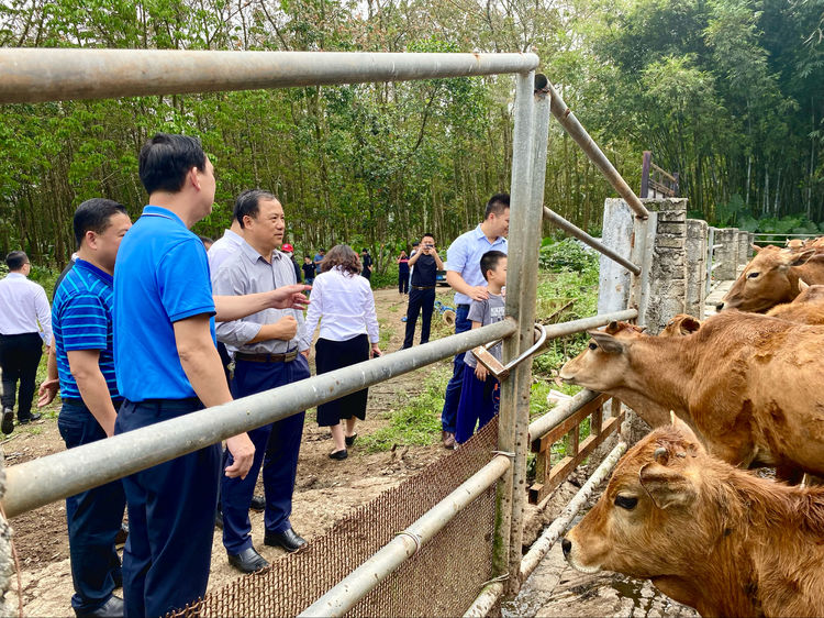 国产精品人人妻人人爽9区