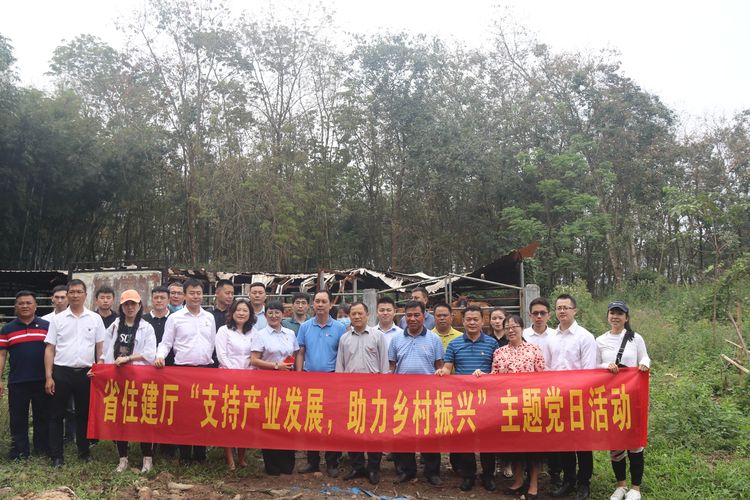 国产精品人人妻人人爽9区