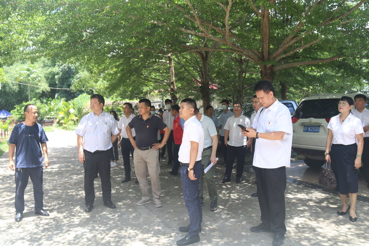 国产精品人人妻人人爽9区