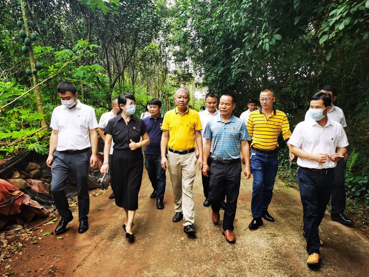 国产精品人人妻人人爽9区