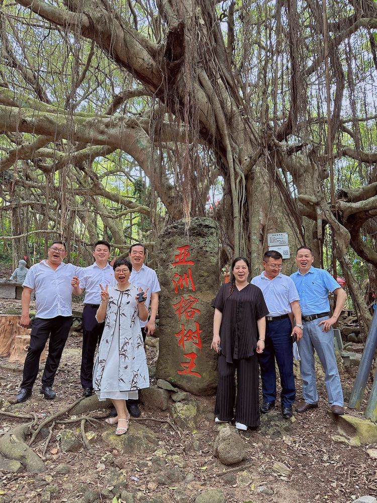 国产精品人人妻人人爽9区